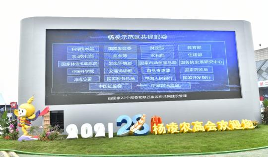 秦龍乳業(yè)一生一養(yǎng)在第28屆中國(guó)楊凌農(nóng)高會(huì)斬獲“后稷特別獎(jiǎng)”