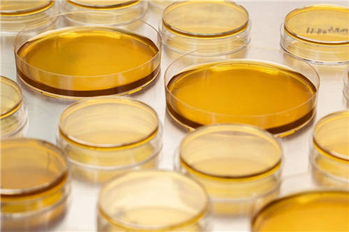 成人益生菌哪種好？迪輔樂用品質(zhì)贏得百萬消費(fèi)者信賴