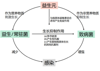 微生態(tài)護(hù)膚時代來臨 華熙生物化妝品級原料新品Biobloom?出擊新賽道