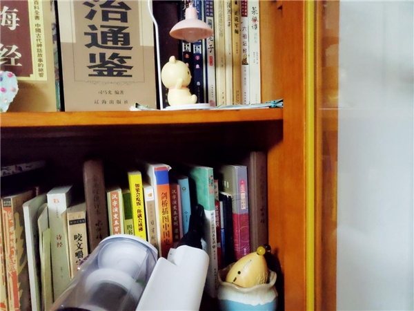 無線吸塵器什么牌子好？分享一款綜合實(shí)力不俗的明星產(chǎn)品