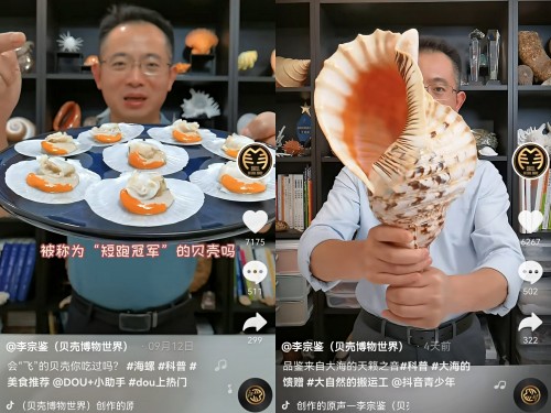 揭秘貝類的前世今生，他在抖音為65萬人開“貝殼博物館”
