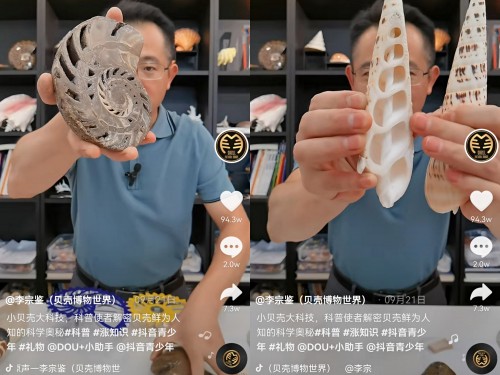 揭秘貝類的前世今生，他在抖音為65萬人開“貝殼博物館”