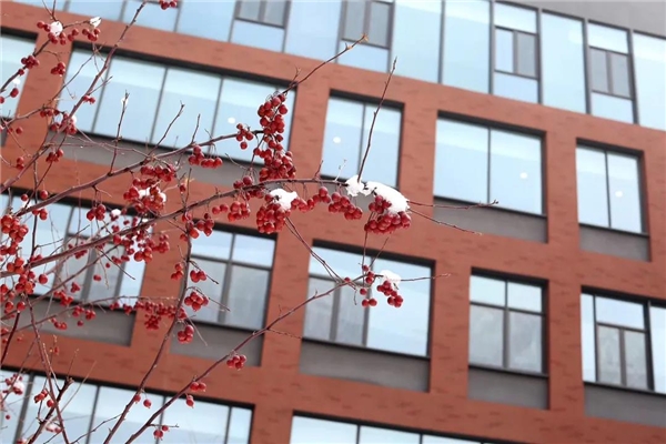 志存高遠(yuǎn)，綻放未來(lái)！朝陽(yáng)凱文建校五周年志慶