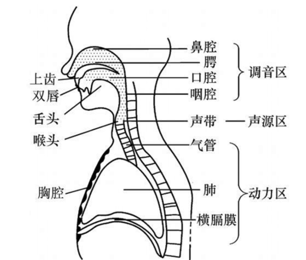 百分點科技：聲紋識別技術發(fā)展及未來趨勢研究