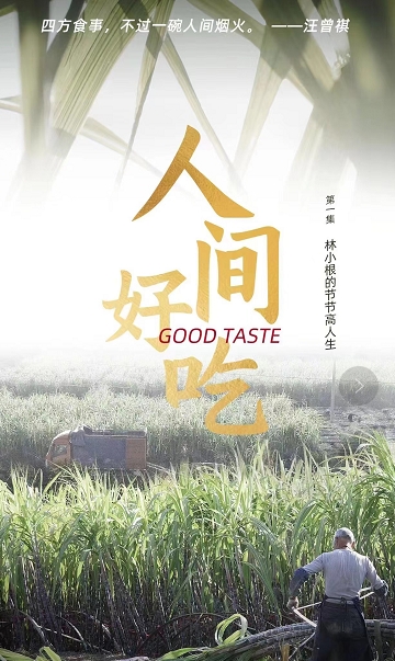 叮咚買(mǎi)菜“青山綠水”計(jì)劃助力鄉(xiāng)村振興，蔗農(nóng)林小根忙碌且幸福