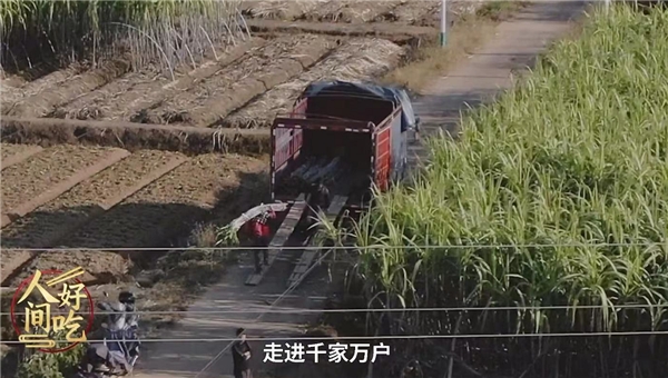 叮咚買(mǎi)菜“青山綠水”計(jì)劃助力鄉(xiāng)村振興，蔗農(nóng)林小根忙碌且幸福