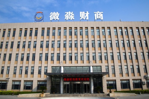 解讀微淼為何能成為財商教育的行業(yè)領跑者？