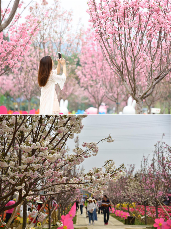 盈虎賀歲 百花盛會(huì) 2022最嶺南之佛山過(guò)大年