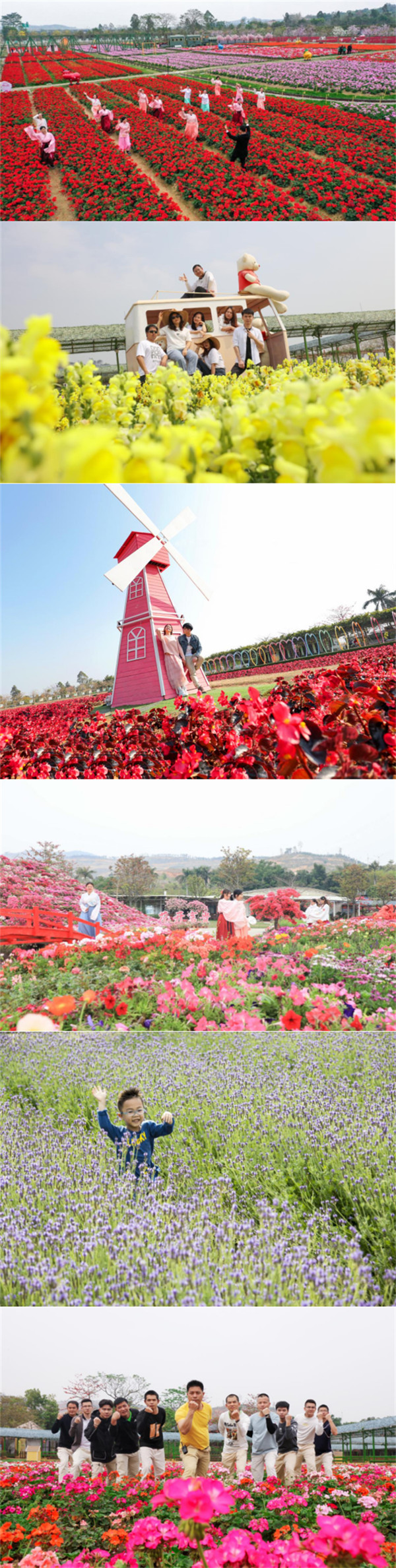 盈虎賀歲 百花盛會(huì) 2022最嶺南之佛山過(guò)大年