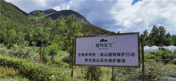 用長期主義譜寫公益之光，植物醫(yī)生堅持生物多樣性保護