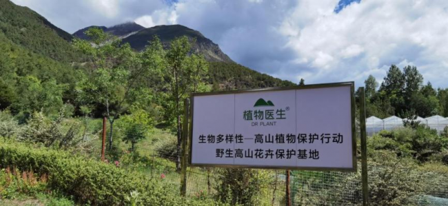 聚焦生物多樣性保護(hù)之路，植物醫(yī)生助力講述中國生態(tài)故事