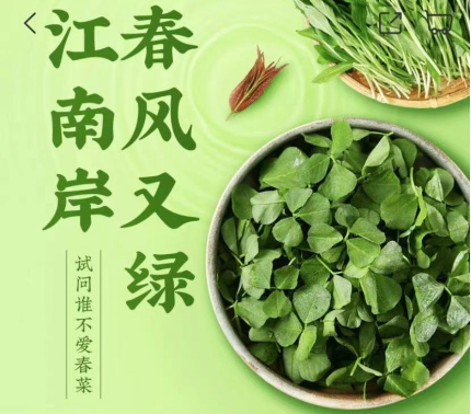 折耳根葉、蠶豆、馬蘭頭.......叮咚買菜推出特色春菜及系列預(yù)制菜