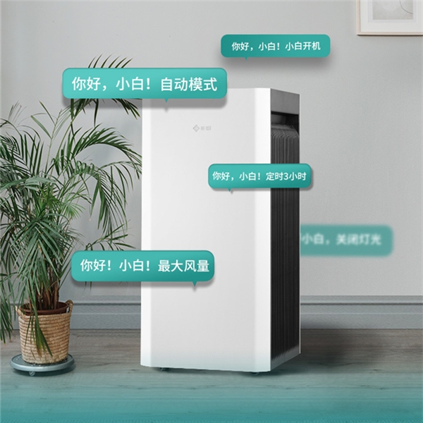 春雷乍動，萬物生機！2022款新頤小白3.0新上市