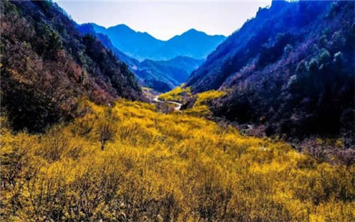 河南衛(wèi)視上映《醫(yī)圣》，仲景文化在傳承