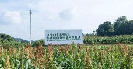 江小白構建起全產(chǎn)業(yè)鏈，“重振渝酒”計劃帶來連鎖效應