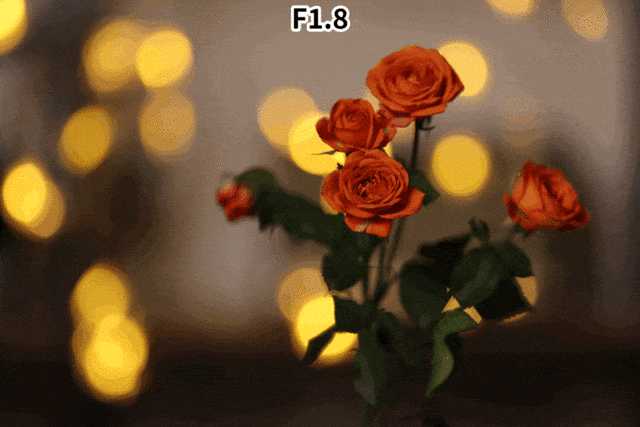 【有料評(píng)測(cè)】佳能RF135mm F1.8鏡頭評(píng)測(cè)：高畫質(zhì)遠(yuǎn)攝定焦新標(biāo)準(zhǔn) 