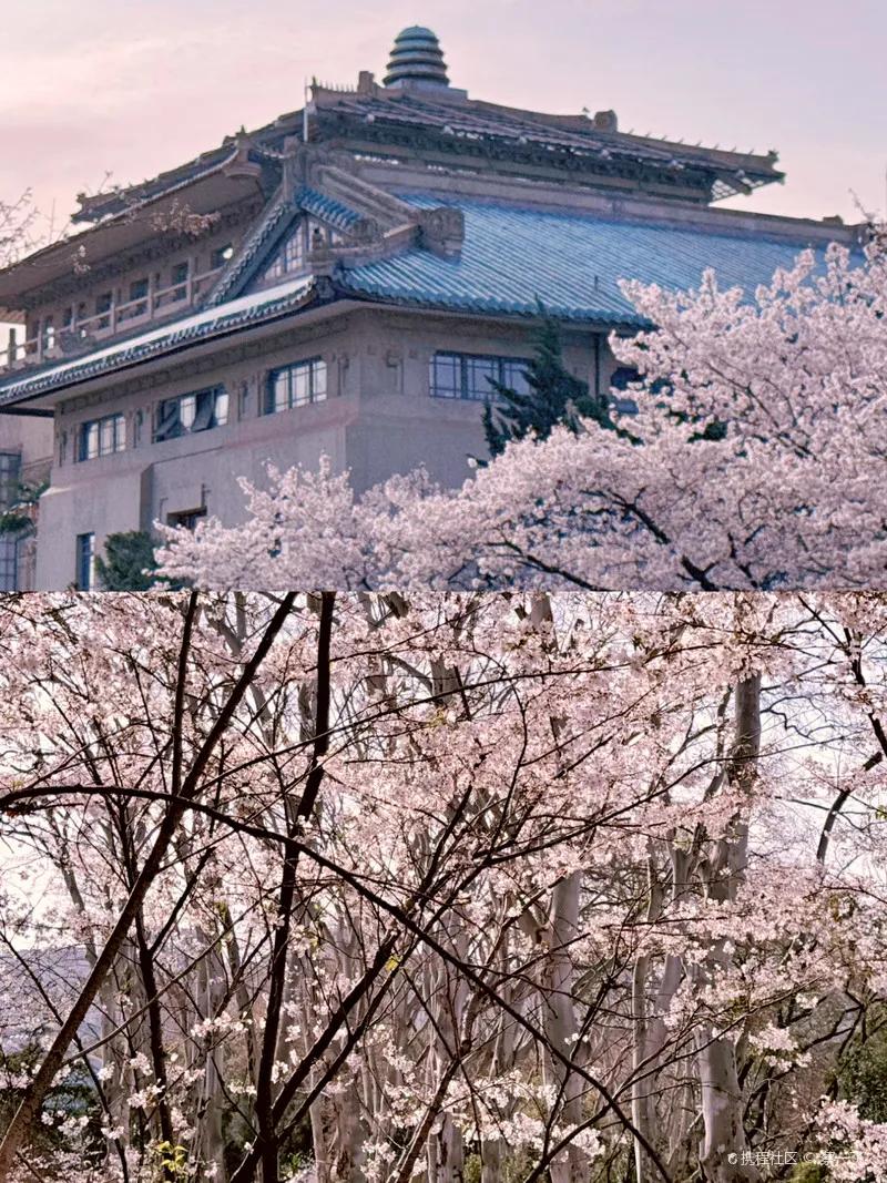 圖片2.jpg