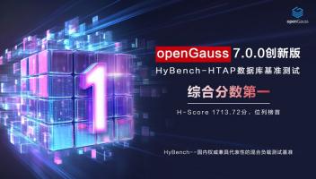 openGauss攜手鯤鵬軟硬協(xié)同 斬獲HyBench HTAP性能榜第一