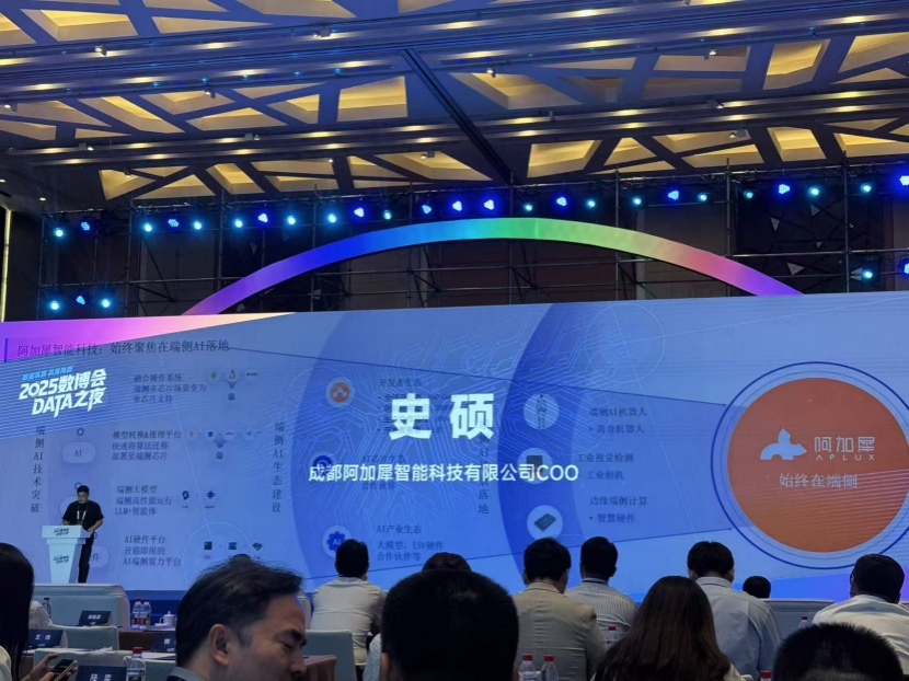 2025數(shù)博會(huì)·DATA之夜：聚焦具身智能，共探數(shù)據(jù)智能新未來(lái)1247.jpg