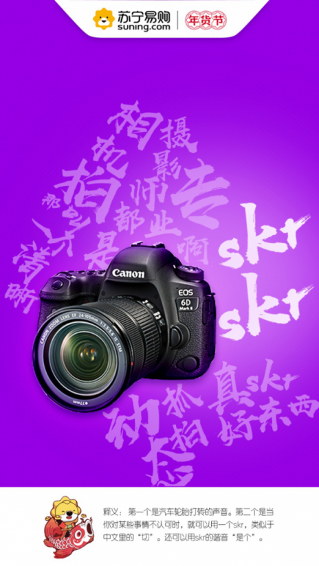 蘇寧數(shù)碼年貨節(jié)8大熱詞，洞見新年新生活