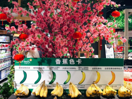 過年店歌大比拼，蘇鮮生“獨家專輯”很深情