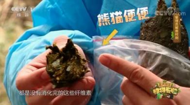 山丘用熊貓便便做紙巾 而且還是食品級(jí)！