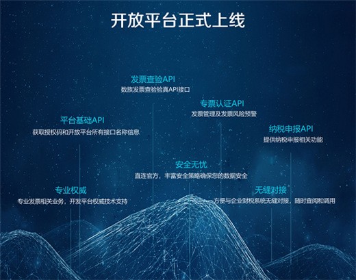 數(shù)族科技開(kāi)放平臺(tái)亮相廣州支付展，票財(cái)稅賦能零售商企用戶