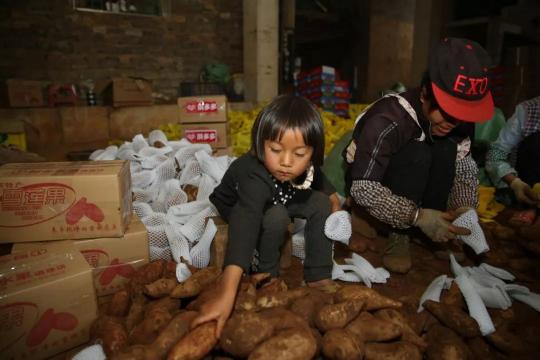 不走尋常路的拼多多，是如何改變中國(guó)農(nóng)業(yè)的？
