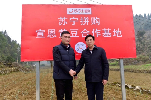 優(yōu)質(zhì)生鮮平臺如何打造？蘇寧拼購給出最佳答案