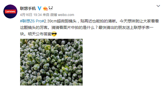 聯(lián)想新機(jī)Z6Pro攜ZUI 11強(qiáng)勢(shì)來(lái)襲，U-Touch或?qū)⒃僭靷髌?/></p><p>從聯(lián)想手機(jī)官微發(fā)布的另一條微博中可以看出，聯(lián)想Z6Pro在微距模式下拍攝的樣張細(xì)節(jié)處理到位，層次感，清晰度依然獲得了很好的保證。從之前的微博中，我們知道聯(lián)想Z6Pro擁有業(yè)界最強(qiáng)的2.39CM微距和125°超級(jí)廣角，無(wú)論是拍照，還是錄制視頻，最后成片的效果都表現(xiàn)不俗，而夜景、廣角、微距、防抖等多種拍攝模式，也是進(jìn)一步打造了聯(lián)想Z6Pro優(yōu)秀的拍攝能力。</p><p align=