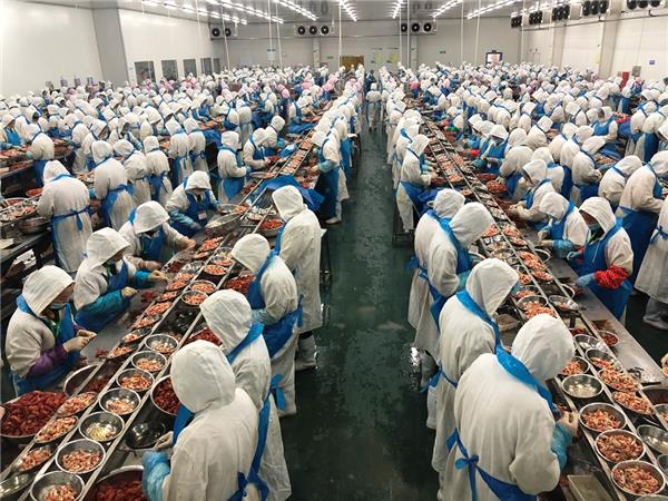 蘇寧快消再下一城，“包圓”越南3萬畝火龍果基地