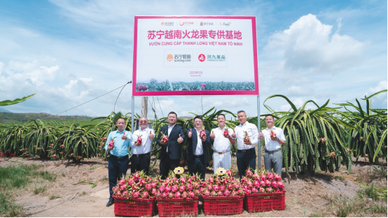 再包3萬(wàn)畝越南火龍果，蘇寧如何攪動(dòng)快消市場(chǎng)一池春水？