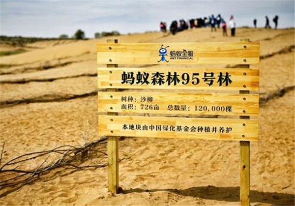 AI遇到公益，天貓精靈螞蟻森林套裝首發(fā)