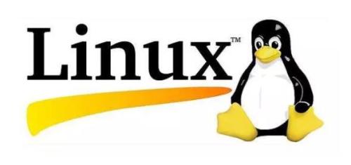 感受開源之美，共享 Linux 的安全與便捷