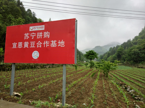 眾多央黨媒點(diǎn)贊蘇寧拼購(gòu)：助力實(shí)現(xiàn)消費(fèi)自由背后的“神秘力量”