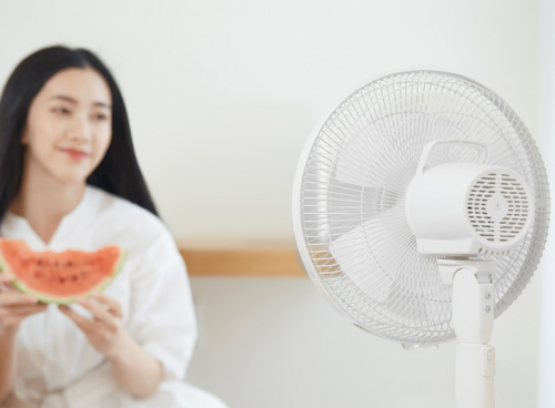 電風(fēng)扇行業(yè)亂象跌生，網(wǎng)易智造逆流而上