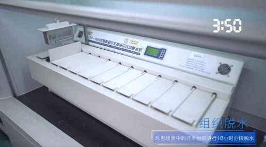 引爆冰箱行業(yè)的“微晶一周鮮”大揭秘！美的微晶冰箱如何做到“不凍原鮮，口感如初”？
