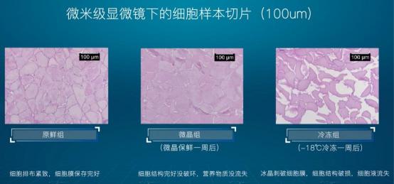 引爆冰箱行業(yè)的“微晶一周鮮”大揭秘！美的微晶冰箱如何做到“不凍原鮮，口感如初”？