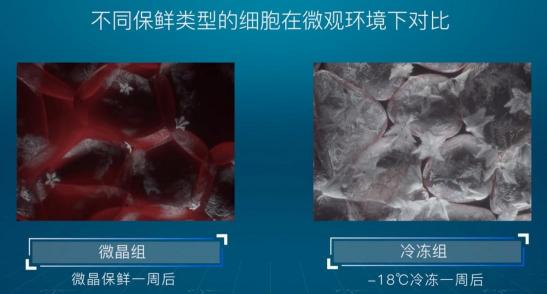 引爆冰箱行業(yè)的“微晶一周鮮”大揭秘！美的微晶冰箱如何做到“不凍原鮮，口感如初”？