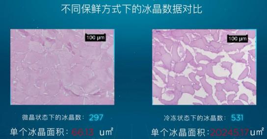 引爆冰箱行業(yè)的“微晶一周鮮”大揭秘！美的微晶冰箱如何做到“不凍原鮮，口感如初”？