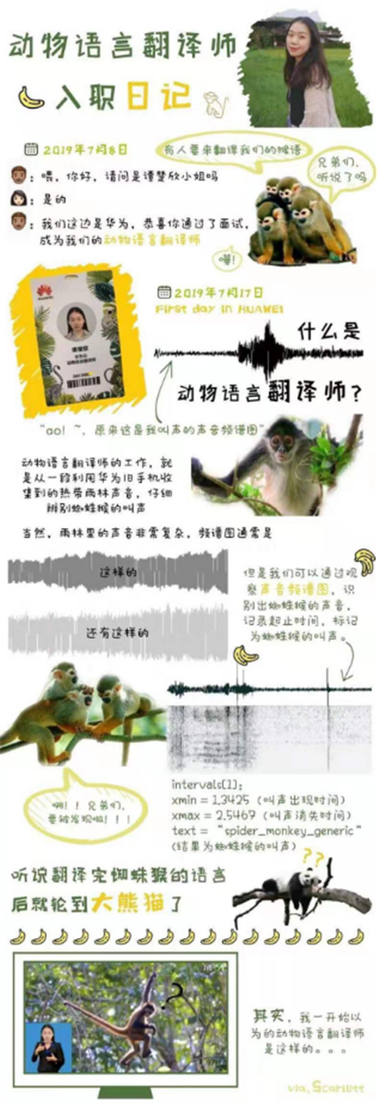 用AI保護(hù)雨林，華為云動(dòng)物語(yǔ)言翻譯師正式入職！