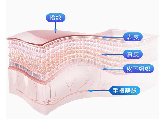 智能門(mén)鎖不止有指紋，樸墅指靜脈智能鎖了解一下？