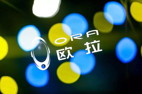 后補(bǔ)貼時(shí)代 創(chuàng)新賦能高品質(zhì)才是新能源車(chē)企的出路