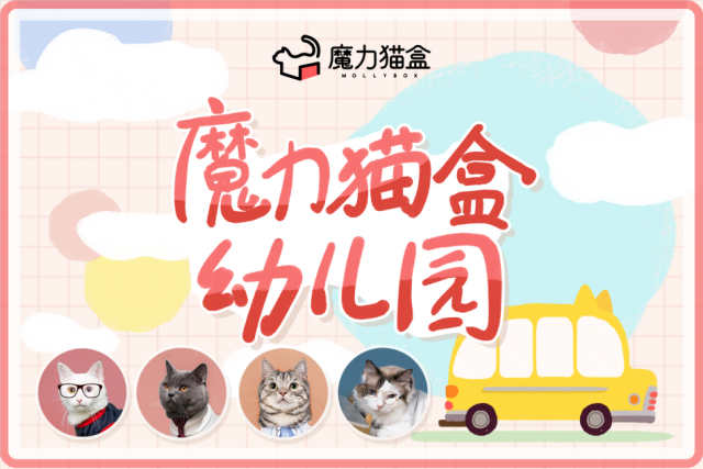 《新生日記》養(yǎng)貓論引發(fā)熱議，魔力貓盒幼兒園解鎖科學養(yǎng)貓姿勢
