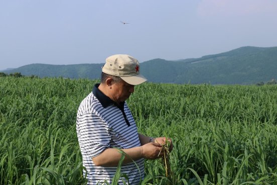 紅星乳業(yè)鄭俊懷:有機(jī)全產(chǎn)業(yè)鏈誕生,國(guó)乳向高品質(zhì)邁進(jìn)