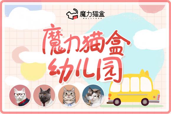 養(yǎng)貓新手“標(biāo)配”！魔力貓盒幼兒園幫你避開(kāi)養(yǎng)貓雷區(qū)