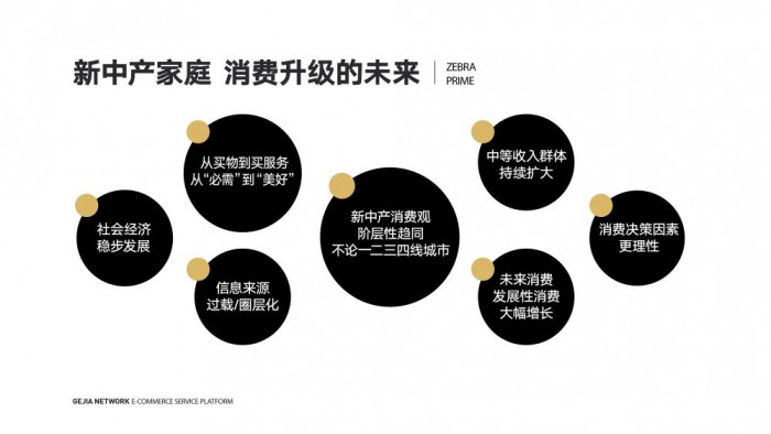 斑馬會員創(chuàng)始人沈丹萍：打開新消費的核心密碼