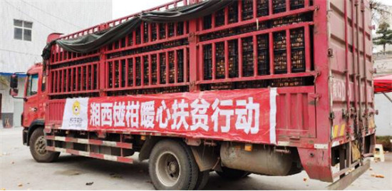 “95后”湘西少年返鄉(xiāng)助脫貧：搭上蘇寧拼購快車，做甜美事業(yè)