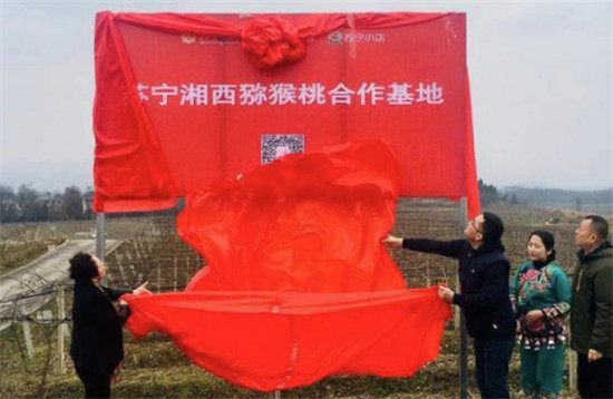“95后”湘西少年返鄉(xiāng)助脫貧：搭上蘇寧拼購快車，做甜美事業(yè)