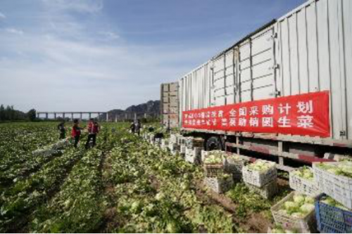 美菜網加速推進縣域合伙人制度，助力鄉(xiāng)村振興